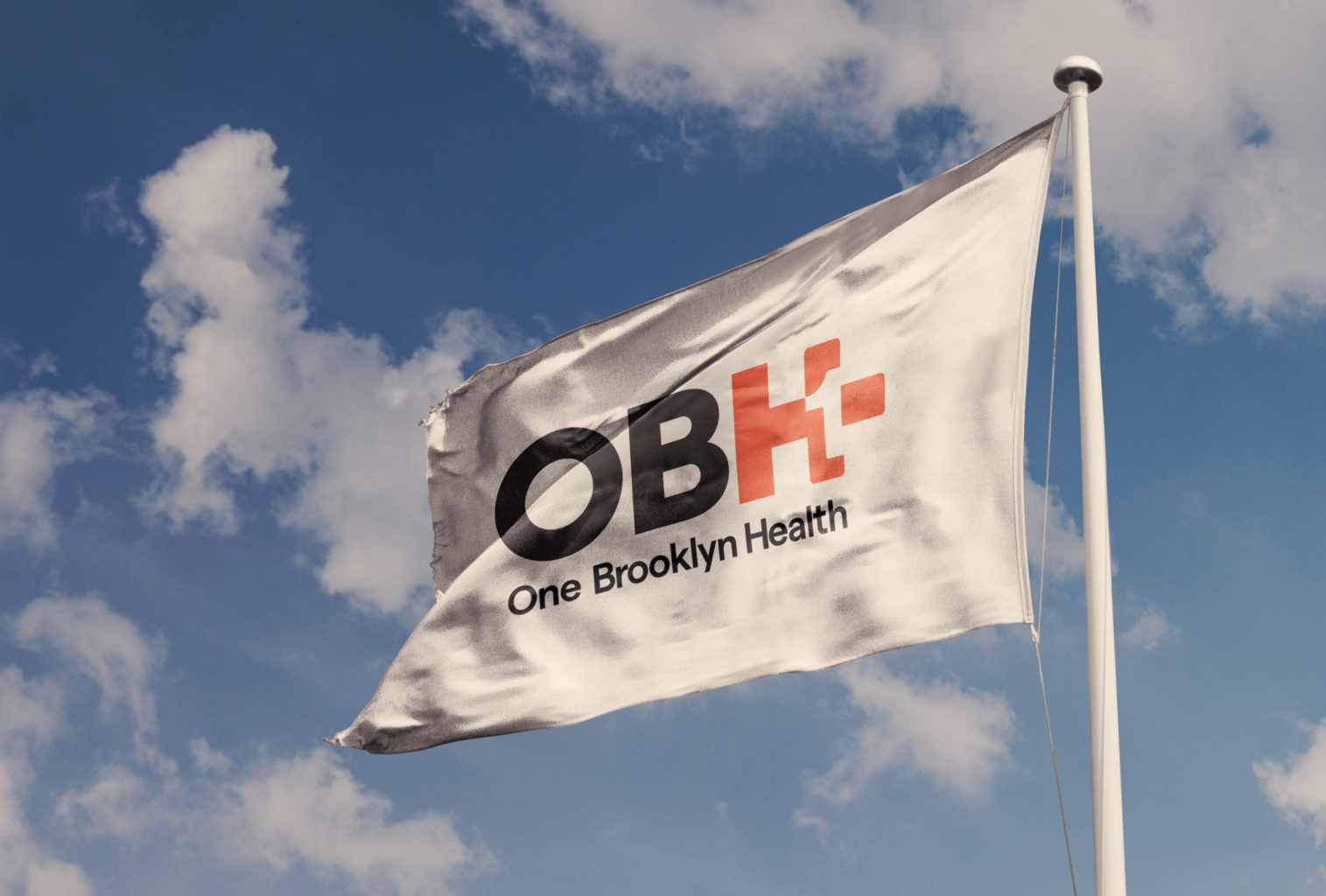 One Brooklyn Health Work Ideal Leida